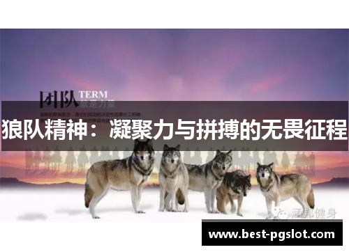 狼队精神：凝聚力与拼搏的无畏征程